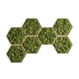 Hexagon Green Wall Panel Set